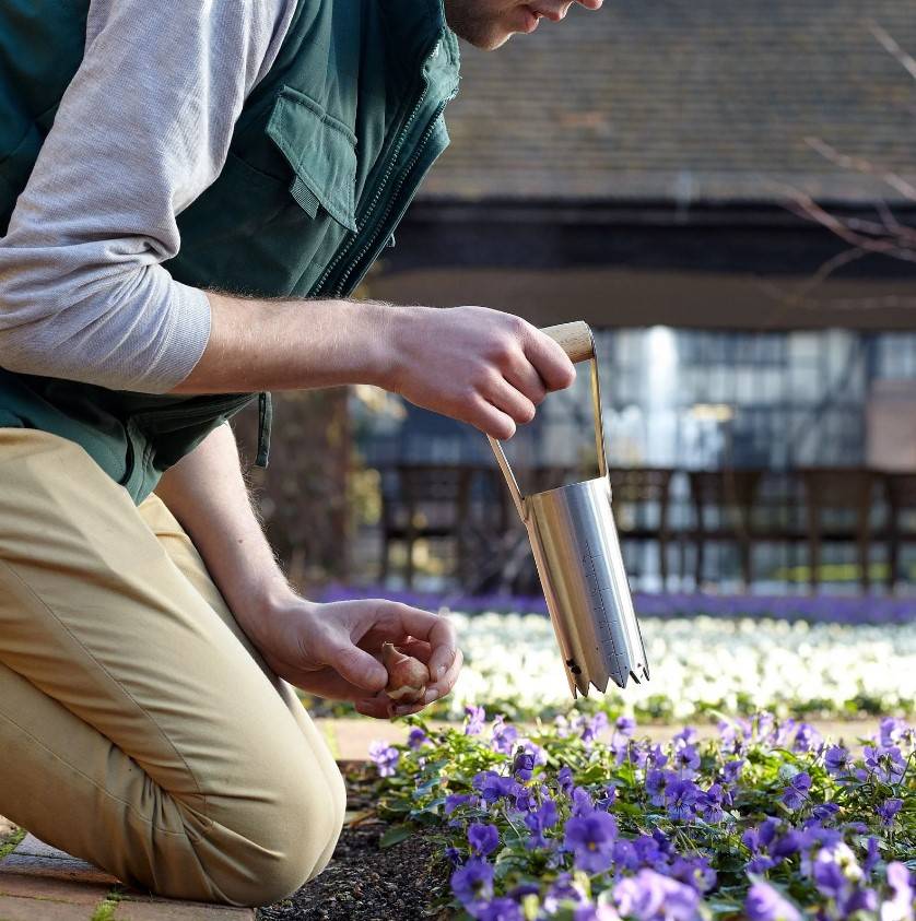 Burgon & Ball Bulb PLANTER